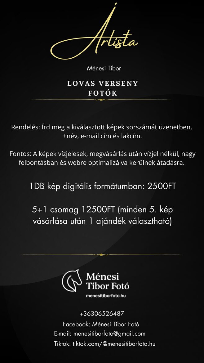 Lovasfotó , lovasfotózás , lovasportré , horsephoto
